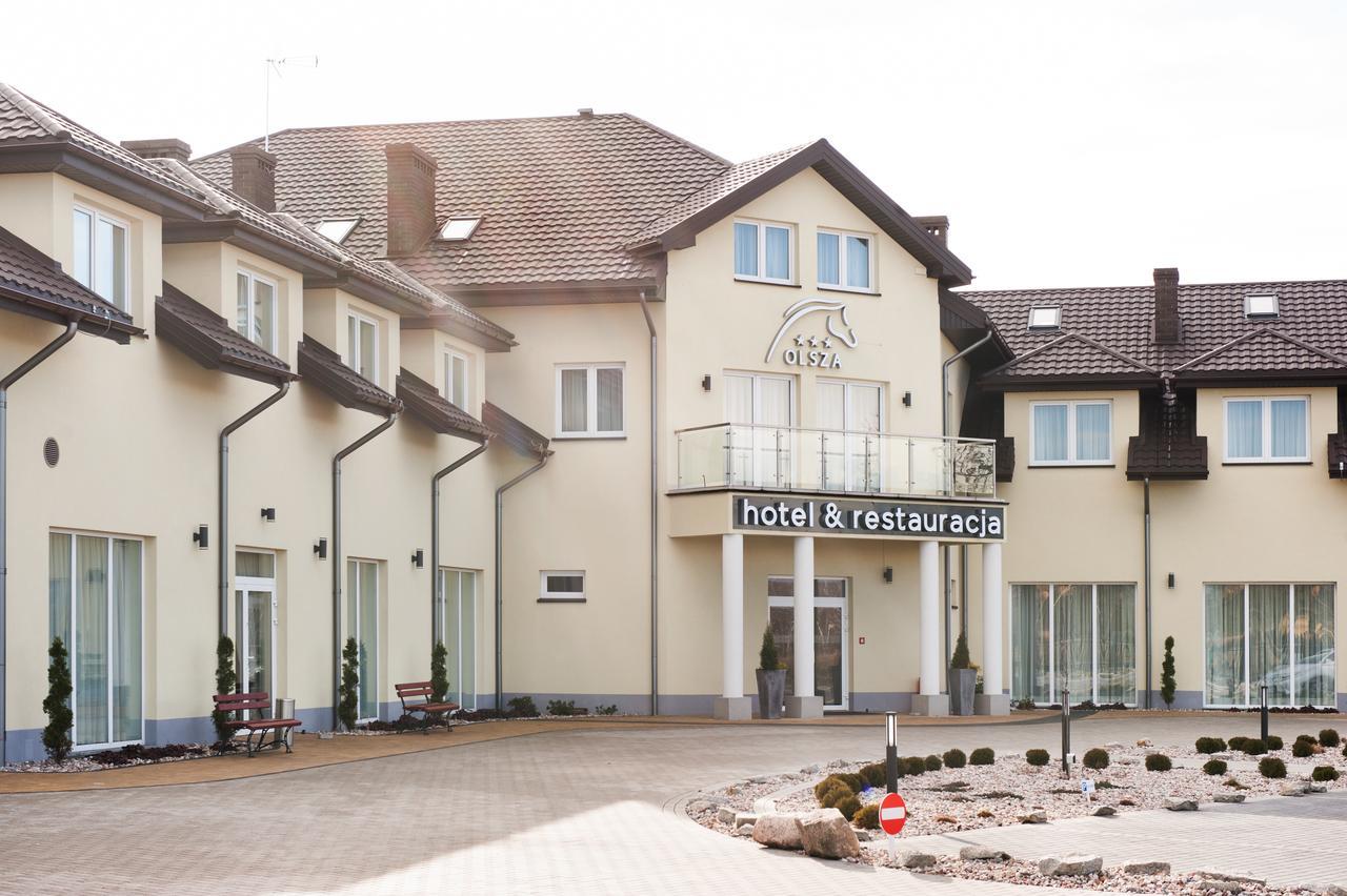 Olsza Olszowka (Turek)